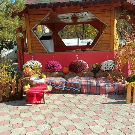 Pensiunea Soreanca Гостевой дом Costesti (Dambovita)