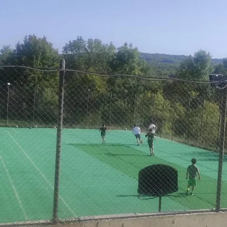 Гостевой дом Pensiunea Soreanca 4*